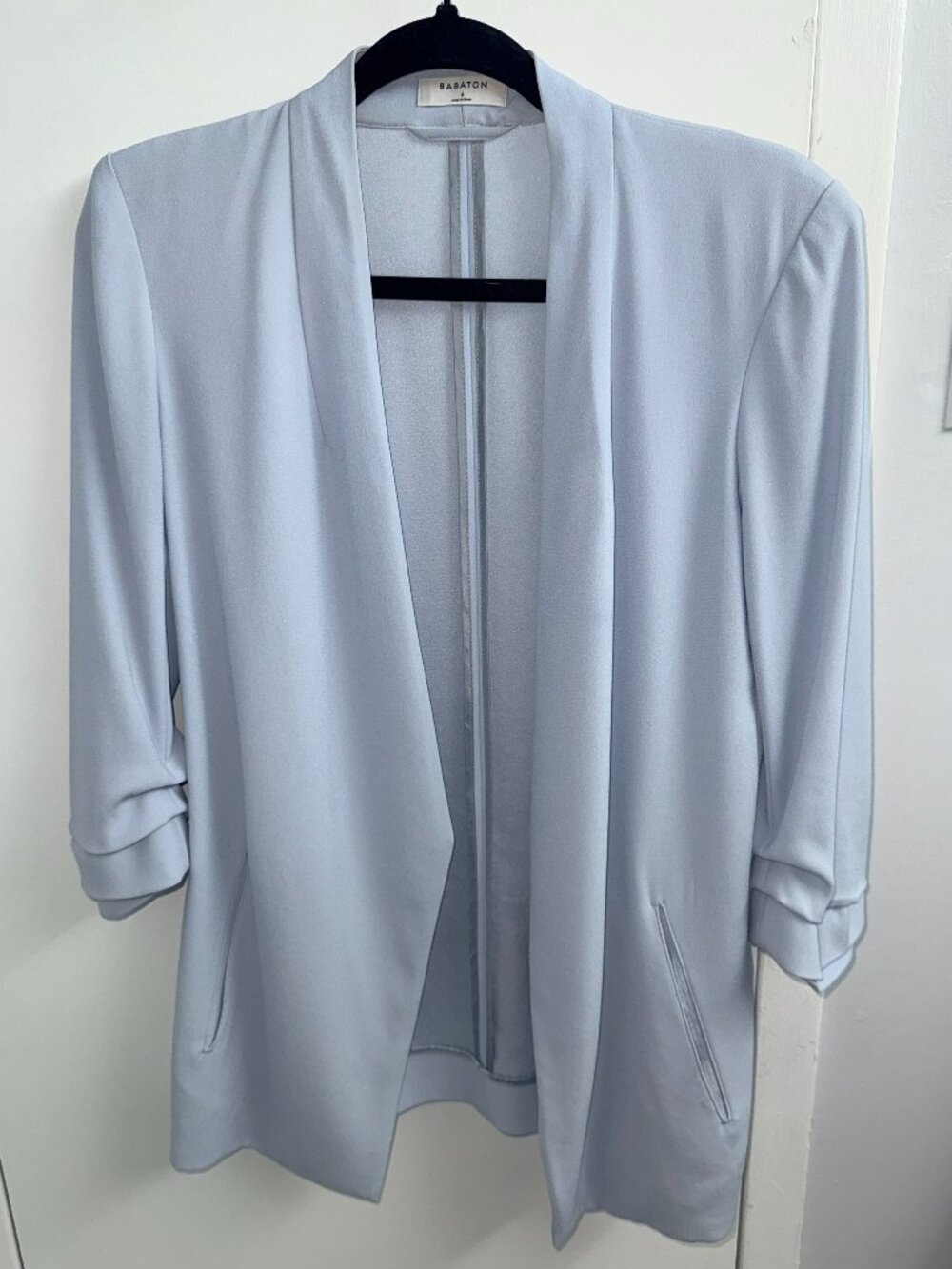 Aritzia Babaton Power Blazer (Ruched 3/4 Sleeves)